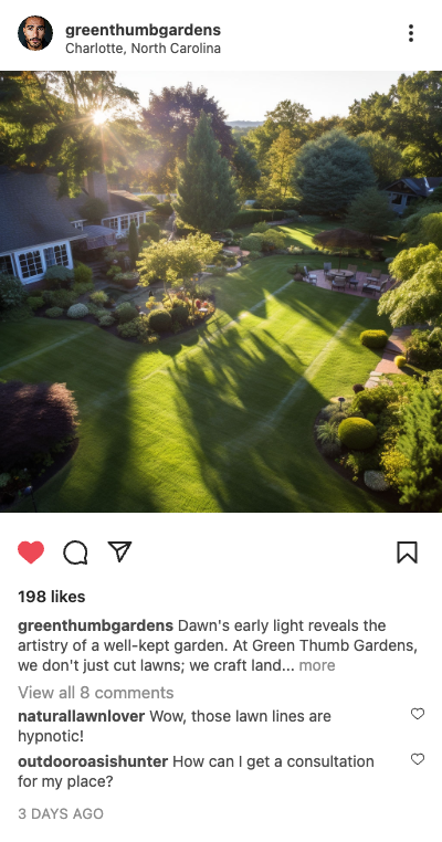 Example landscaping post: garden in early morning sun in Charlotte, North Carolina
